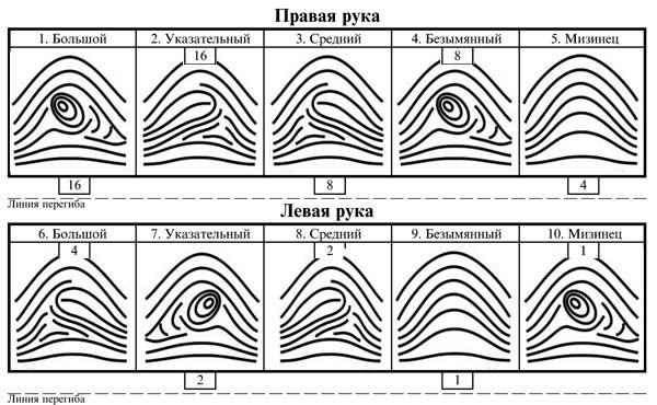 Определение электроснабжения в химическом производстве