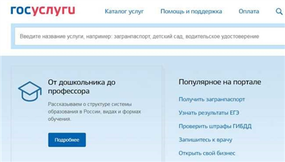 Какая информация доступна при проверке электронной прописки?