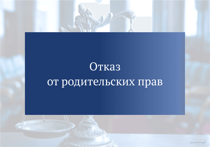 Какие документы необходимо предоставить в службу помощи