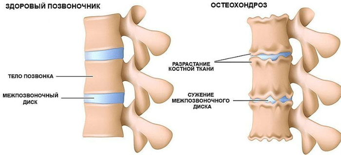 Врачебный осмотр и диагностика