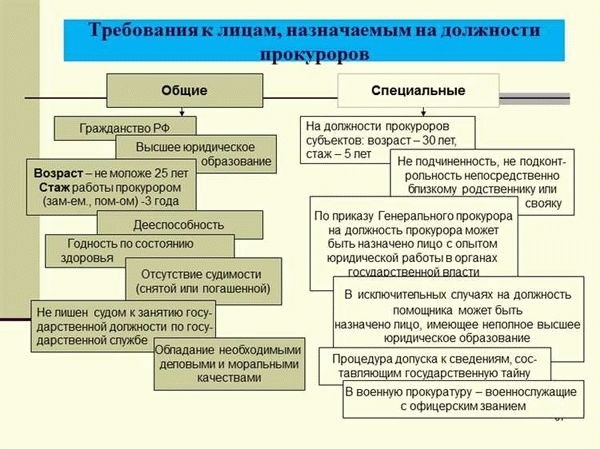 Паспорт гражданина РФ