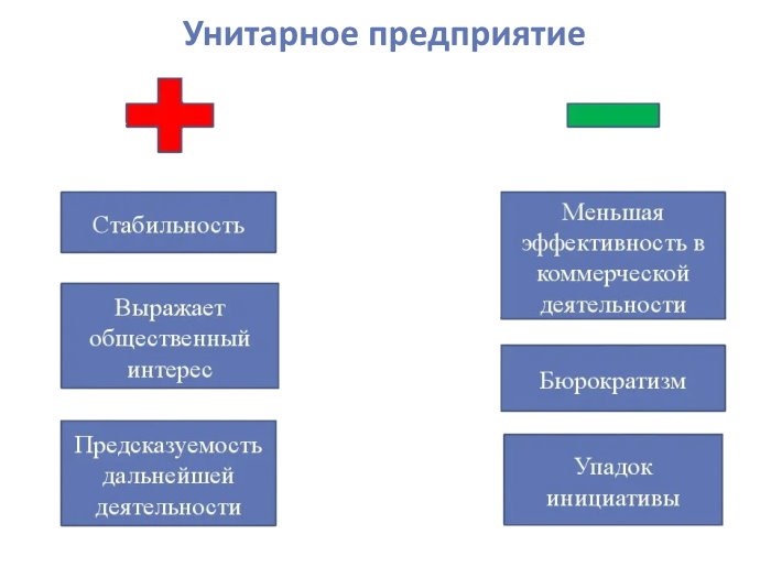 Типы унитарных предприятий в России