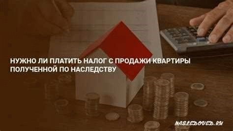 Как определить декларированную площадь участка?